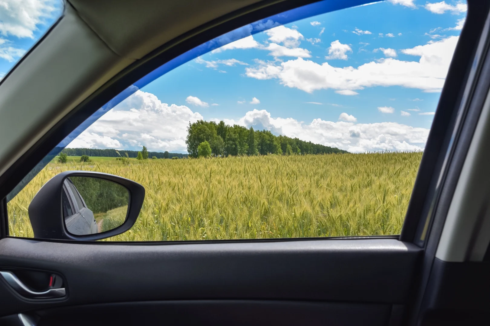 View of a golden wheat field from a car window on a sunny day.